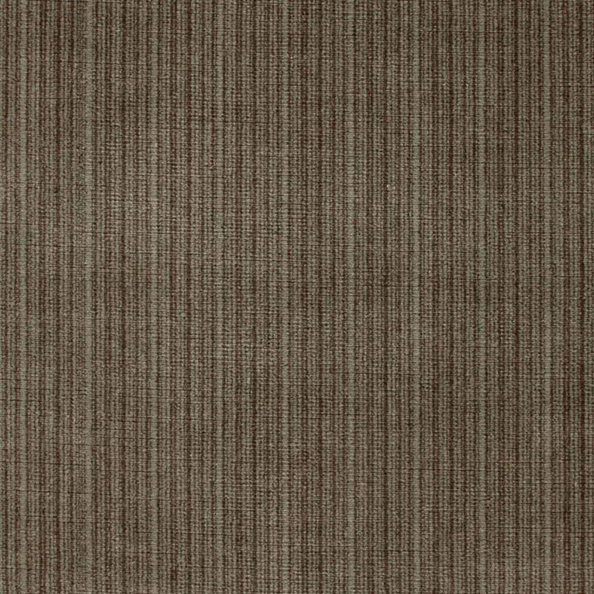 ANTIQUE STRIE VELVET_ DOE