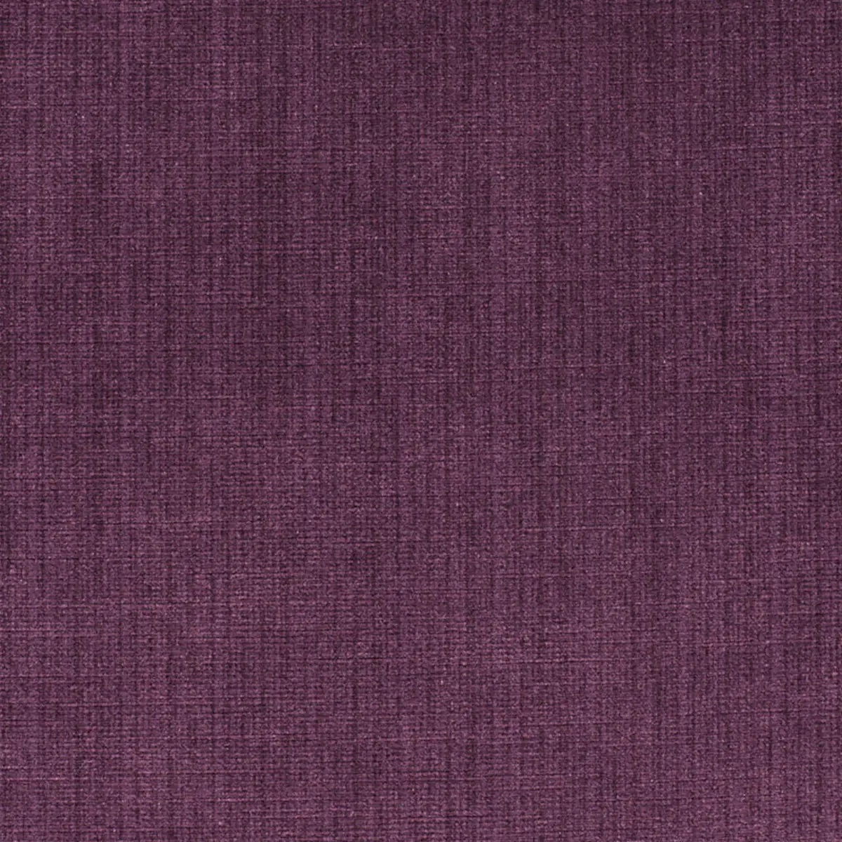 ANTIQUE STRIE VELVET_ CONCORD