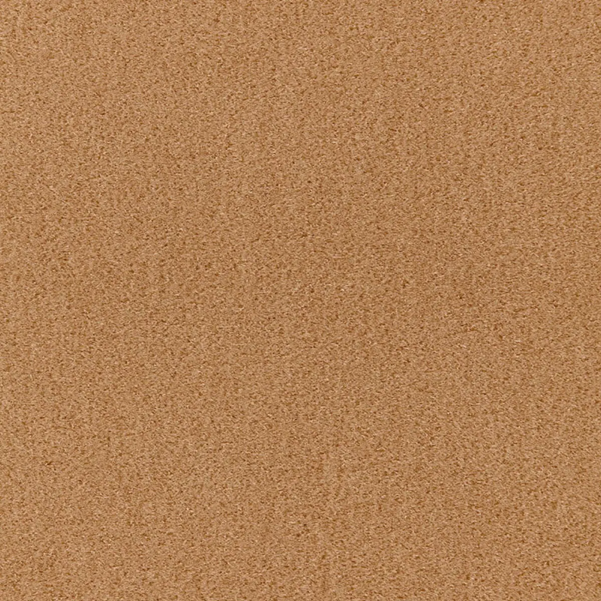 SAN CARLO MOHAIR VELVET_ SAHARA