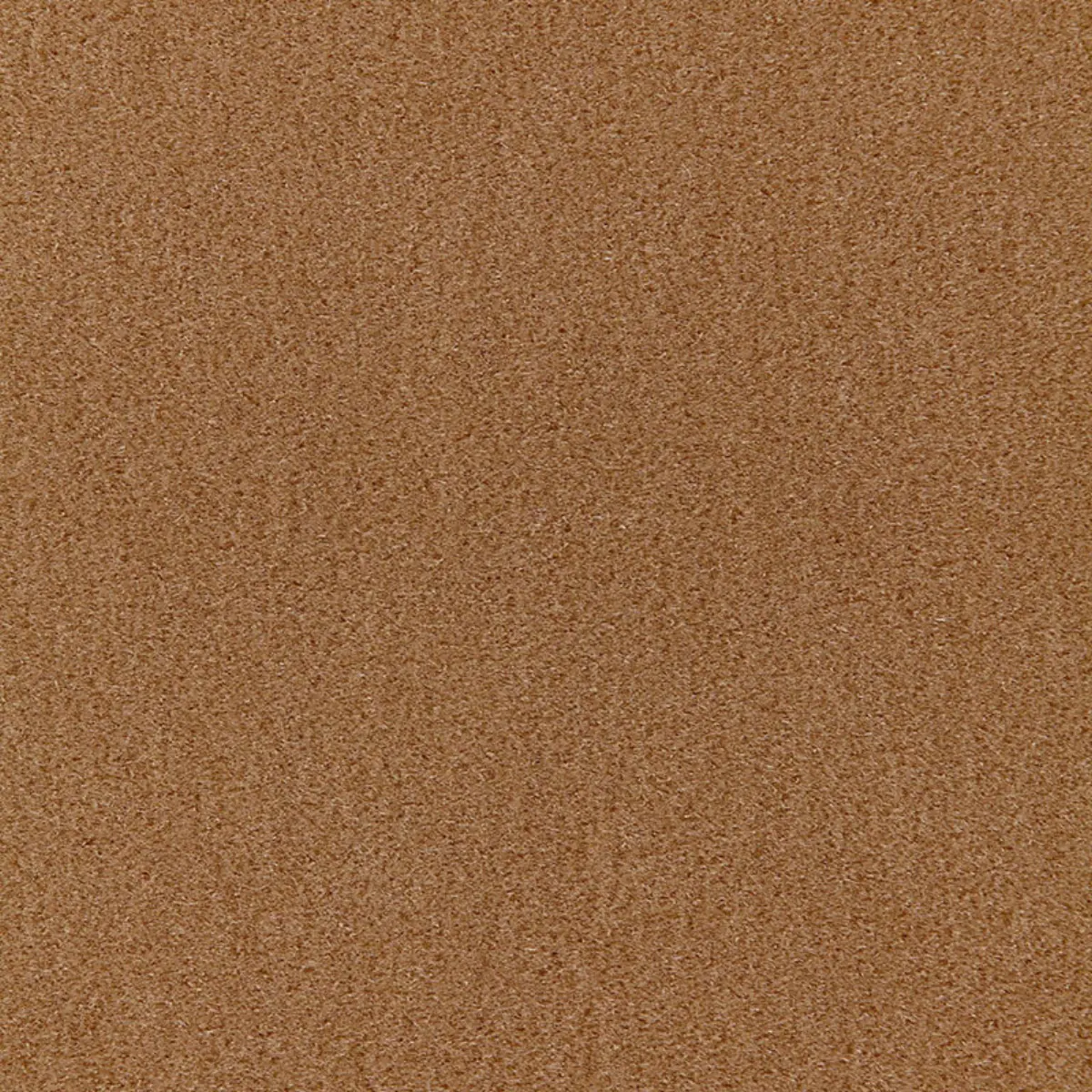 SAN CARLO MOHAIR VELVET_ FAWN