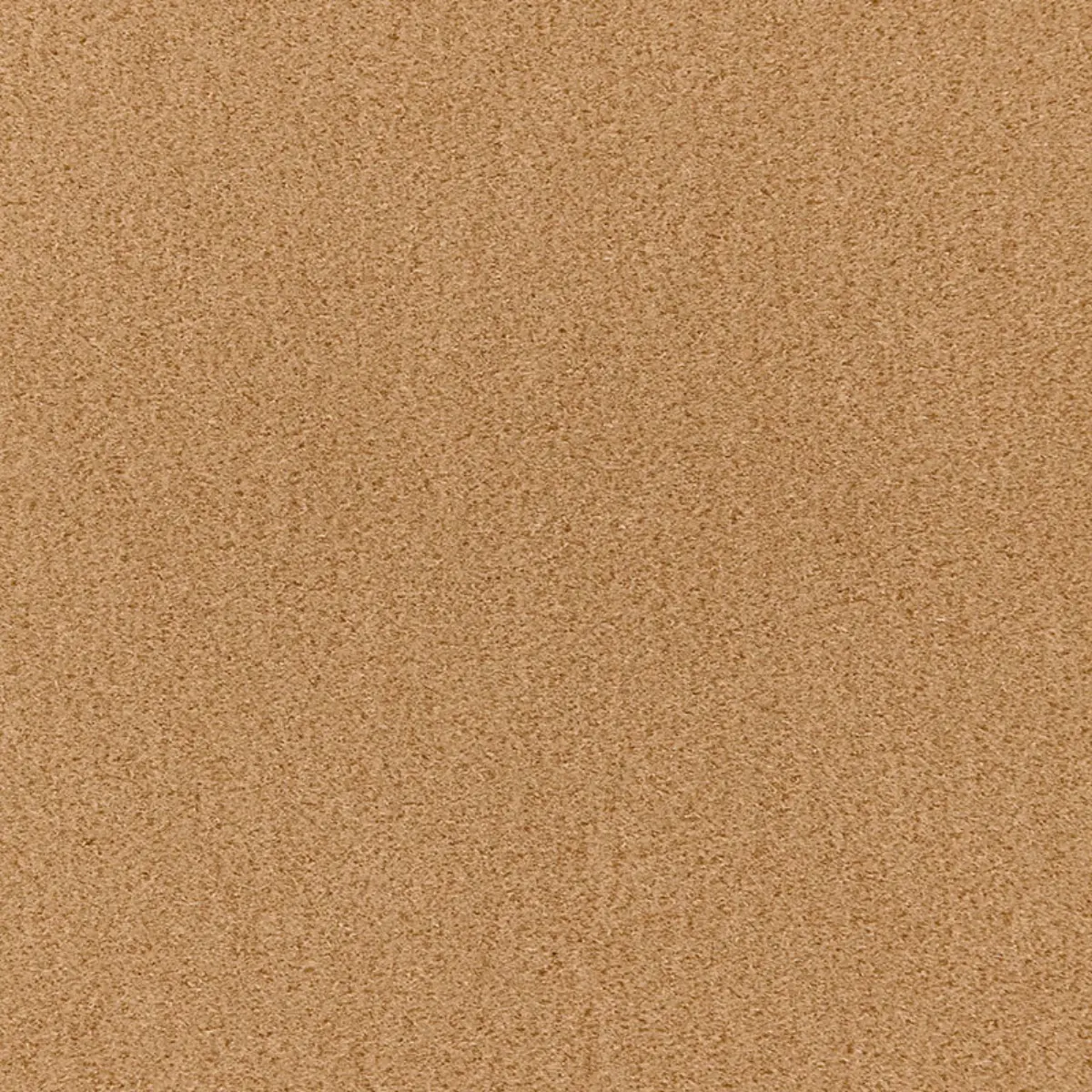 SAN CARLO MOHAIR VELVET_ CAMEL