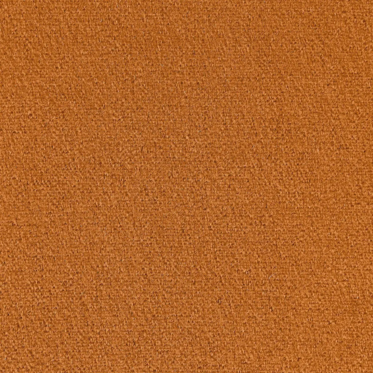 SAN CARLO MOHAIR VELVET_ DIJON