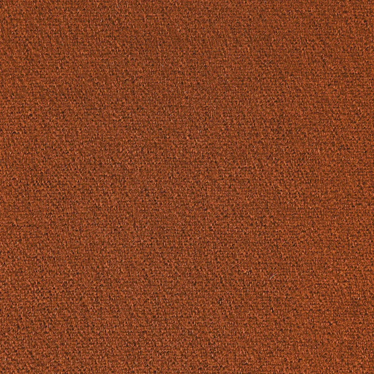 SAN CARLO MOHAIR VELVET_ COGNAC