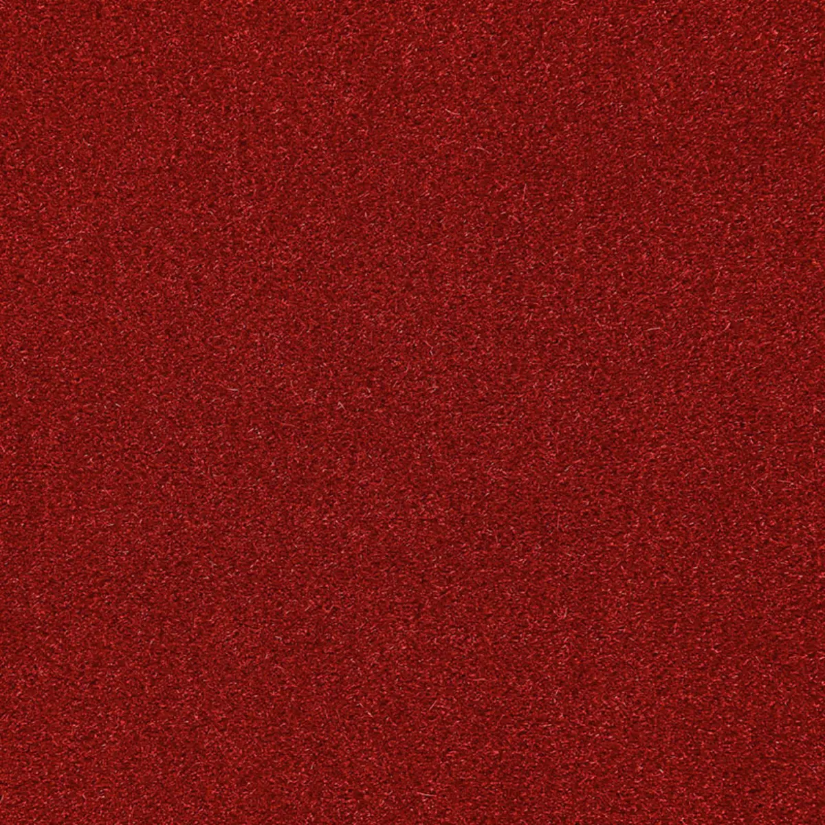 SAN CARLO MOHAIR VELVET_ RUSSET