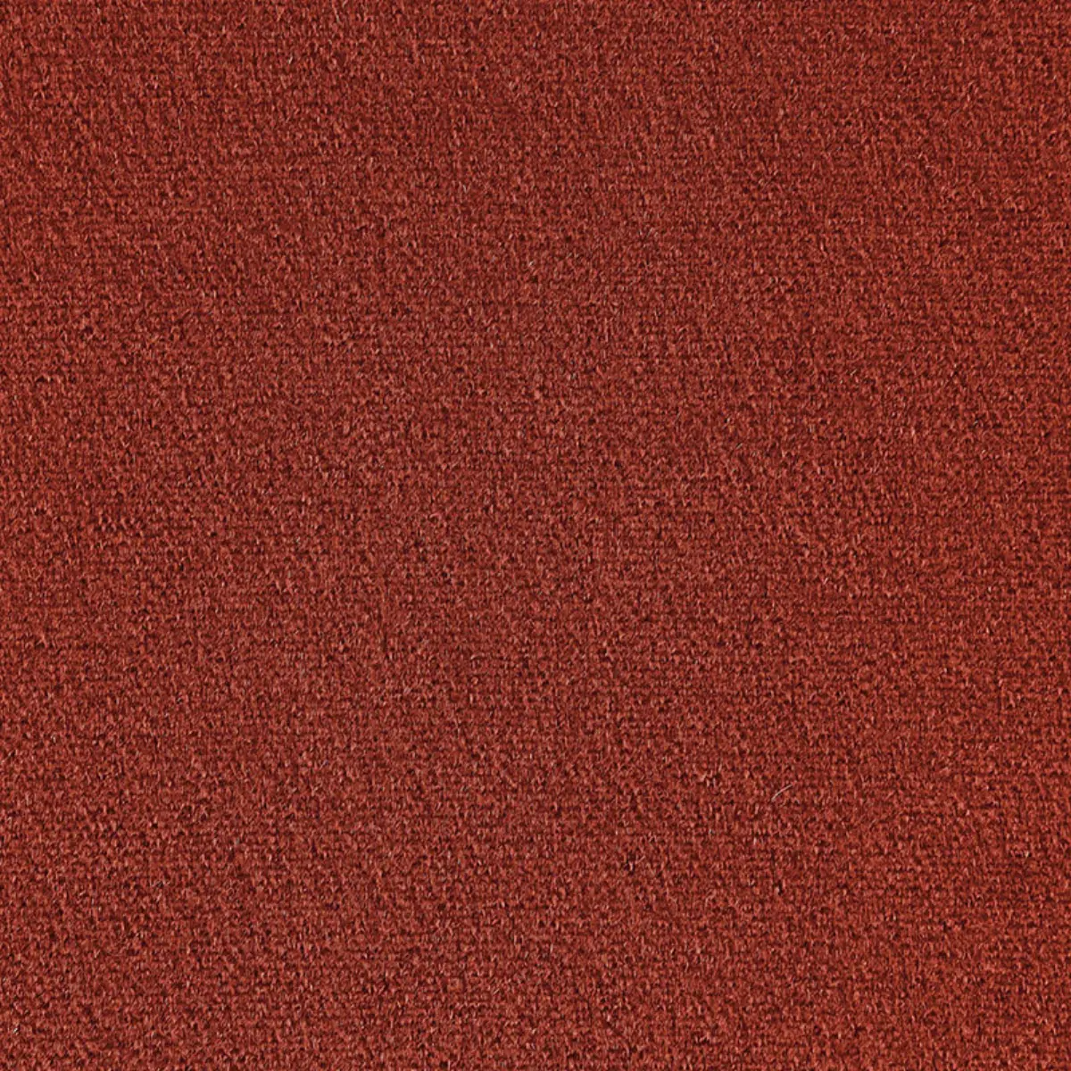 SAN CARLO MOHAIR VELVET_ SIENNA