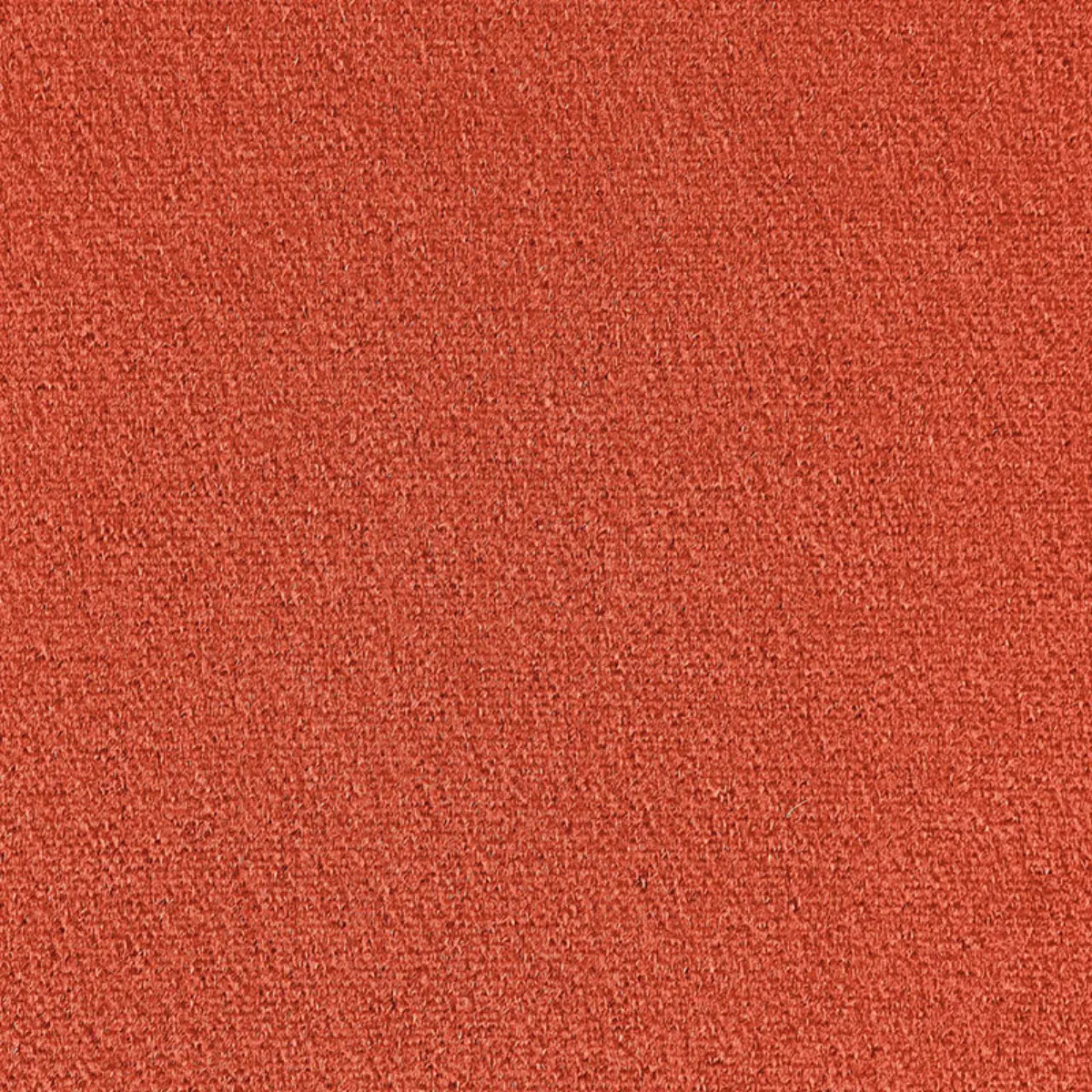 SAN CARLO MOHAIR VELVET_ CLAY