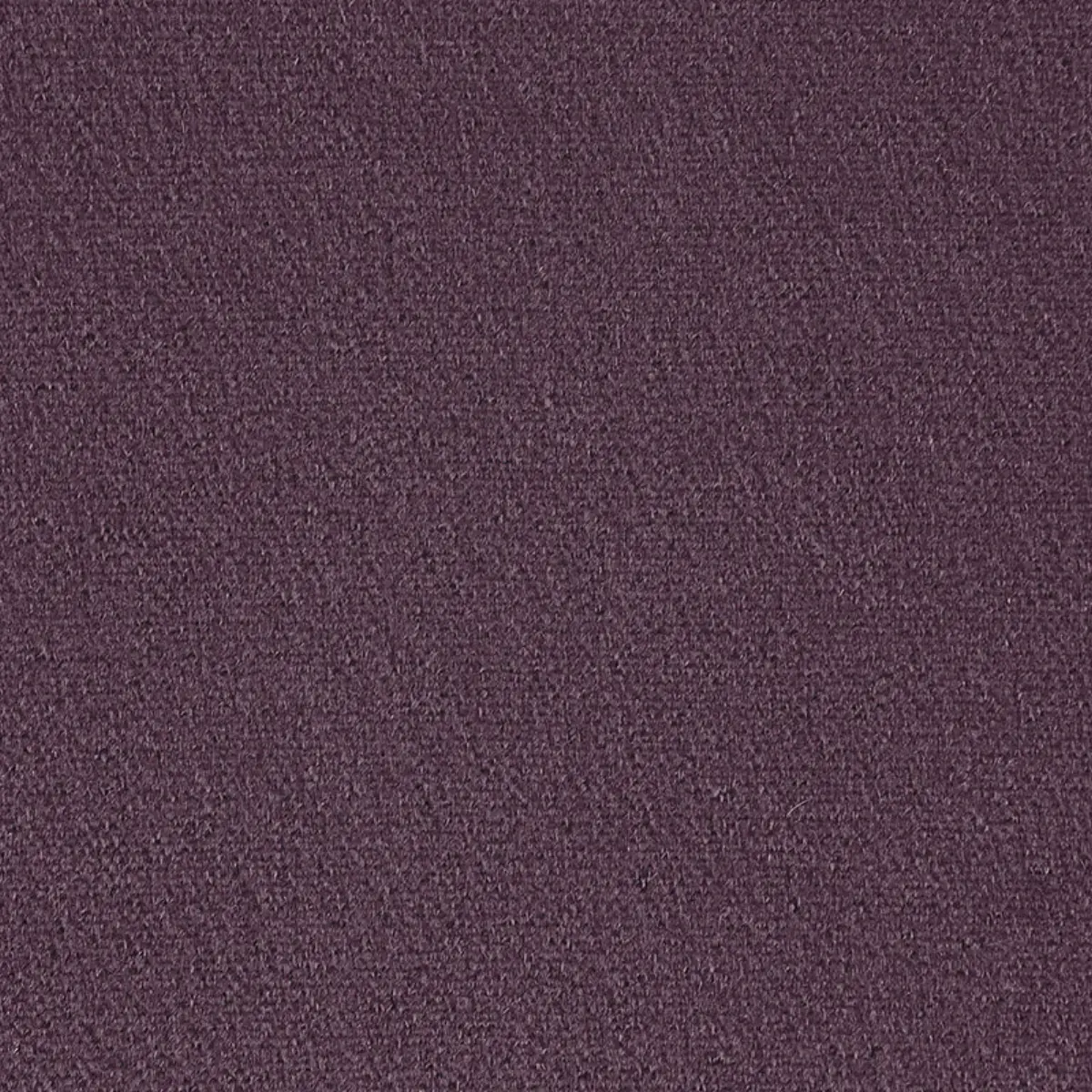 SAN CARLO MOHAIR VELVET_ HEATHER