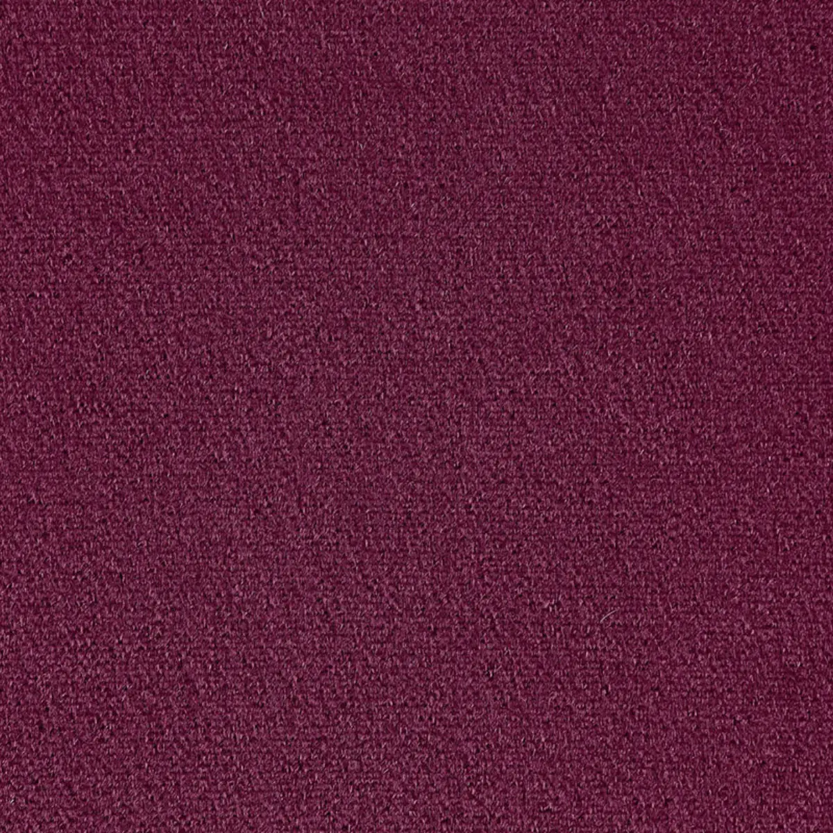SAN CARLO MOHAIR VELVET_ GRAPE