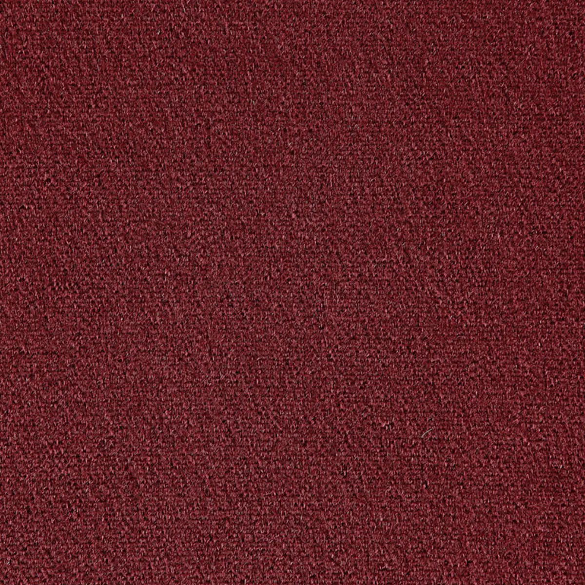 SAN CARLO MOHAIR VELVET_ PORT