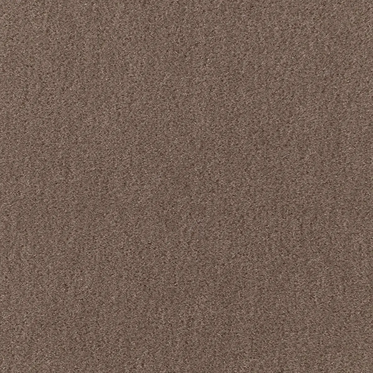 SAN CARLO MOHAIR VELVET_ DRIFTWOOD