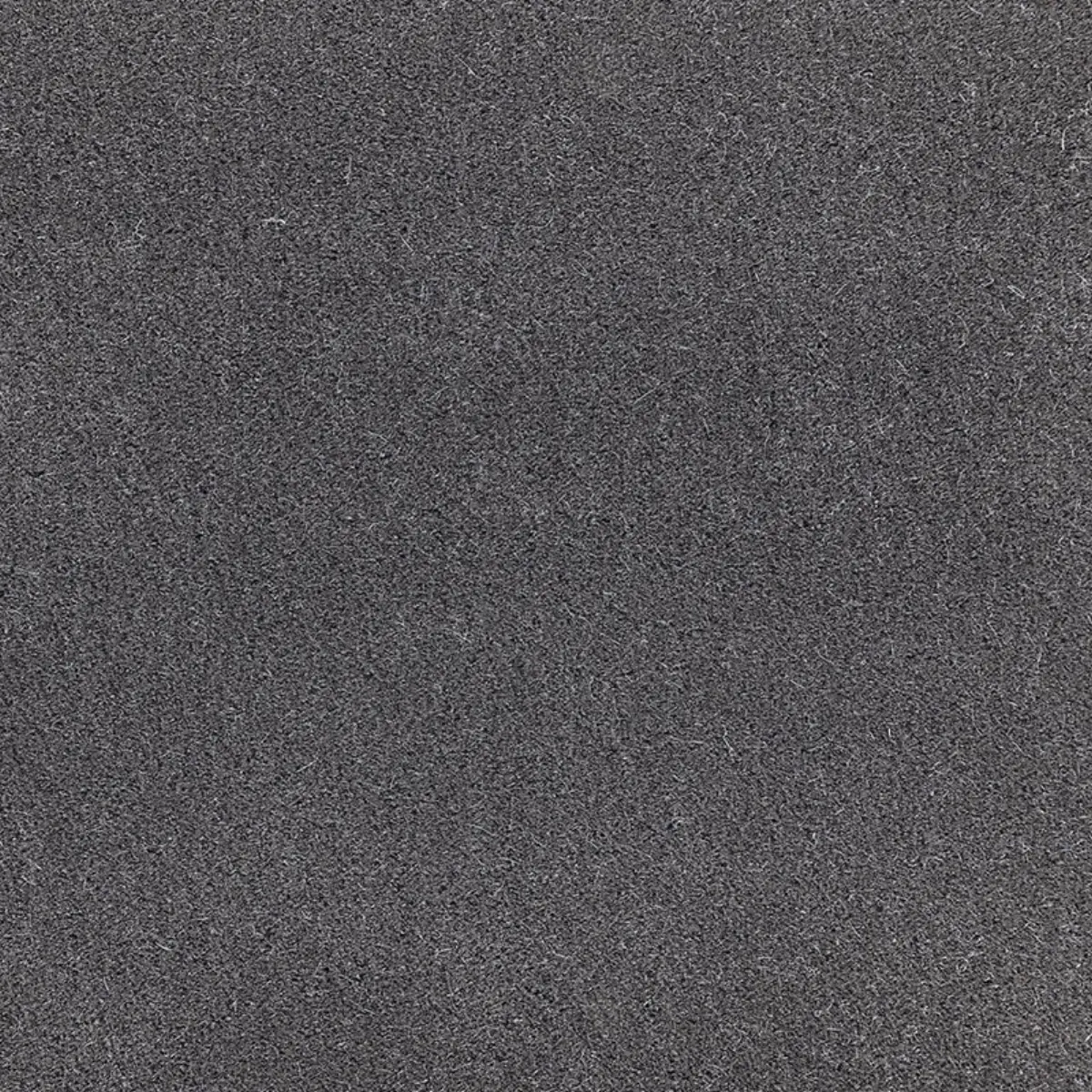 SAN CARLO MOHAIR VELVET_ GRISAILLE