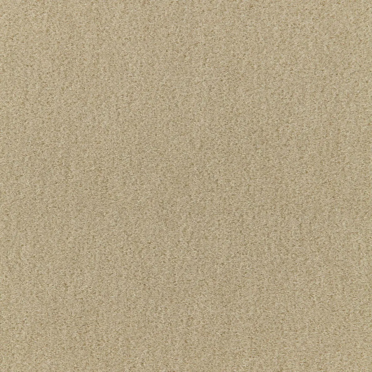 SAN CARLO MOHAIR VELVET_ PEBBLE