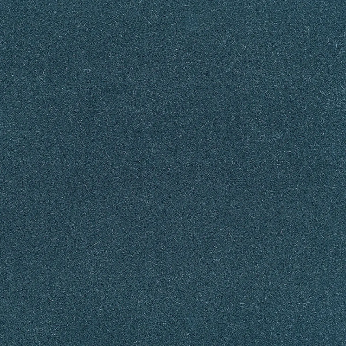 SAN CARLO MOHAIR VELVET_ DELFT