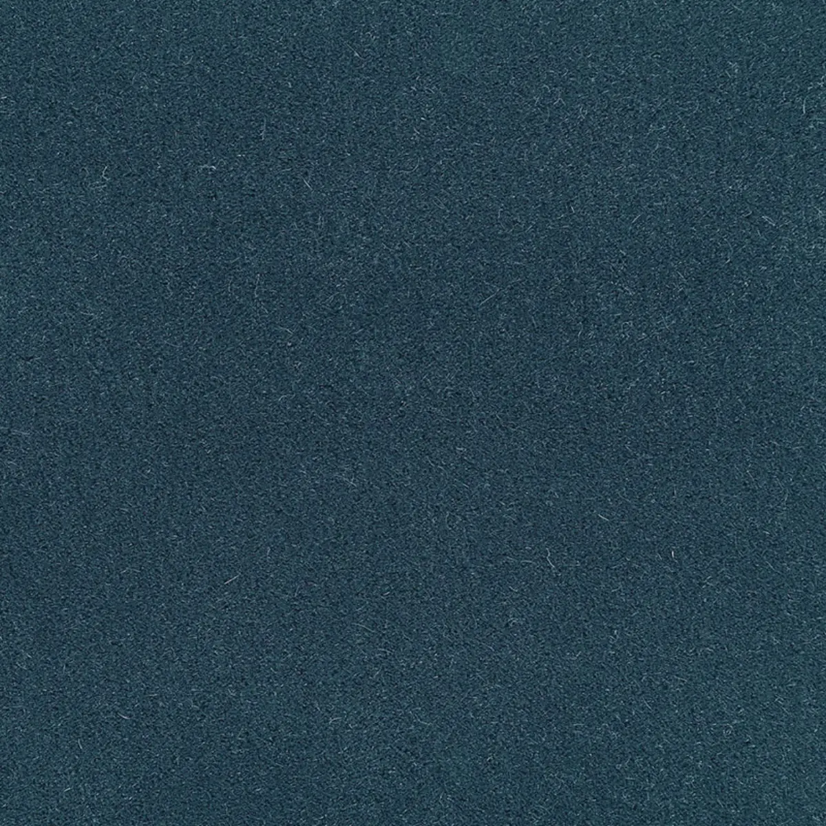 SAN CARLO MOHAIR VELVET_ MYOSOTIS