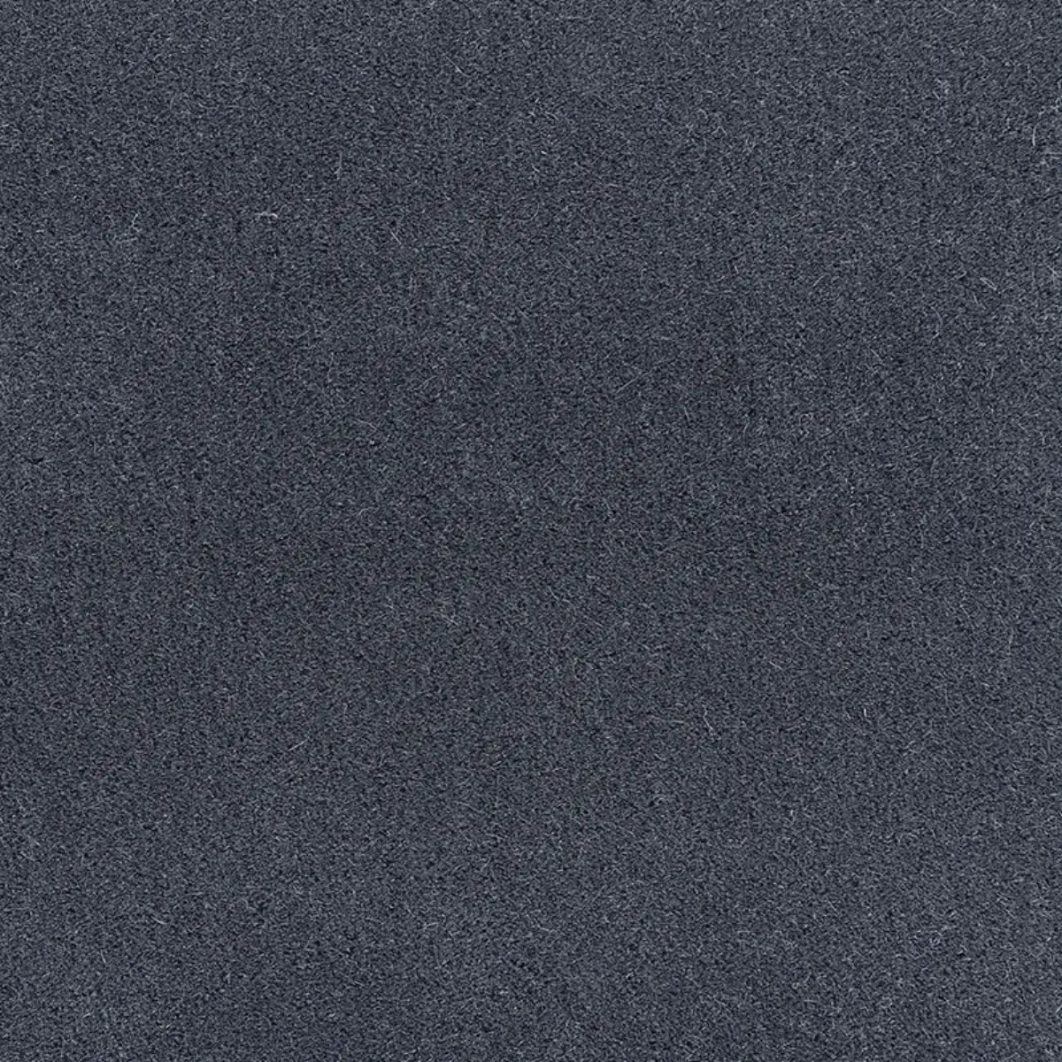 SAN CARLO MOHAIR VELVET_ DUSK