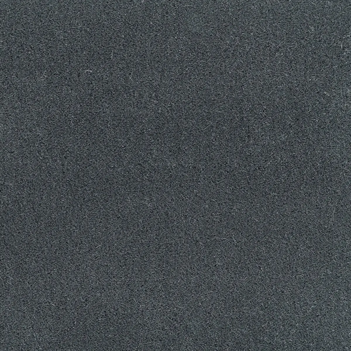 SAN CARLO MOHAIR VELVET_ STORM