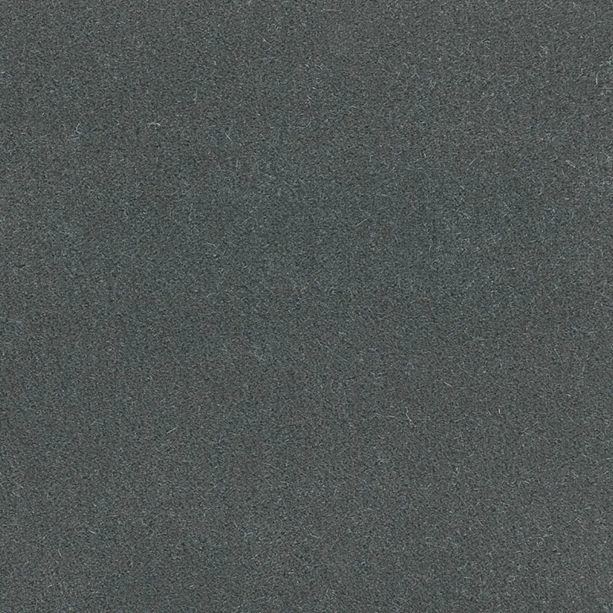 SAN CARLO MOHAIR VELVET_ STEEL