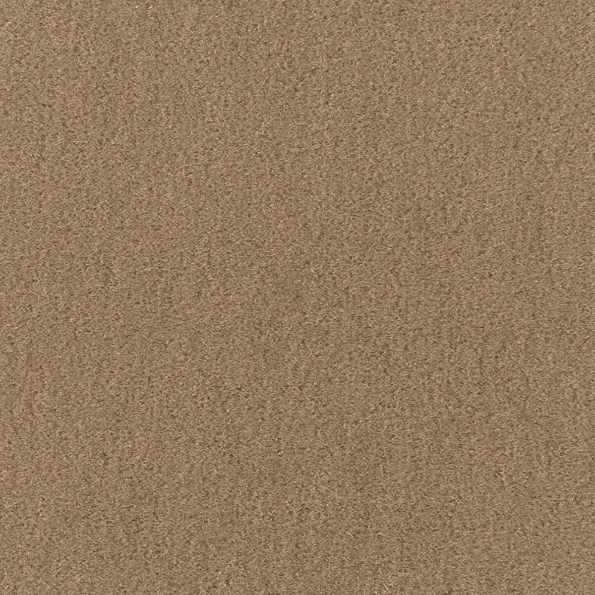 SAN CARLO MOHAIR VELVET_ SPARROW