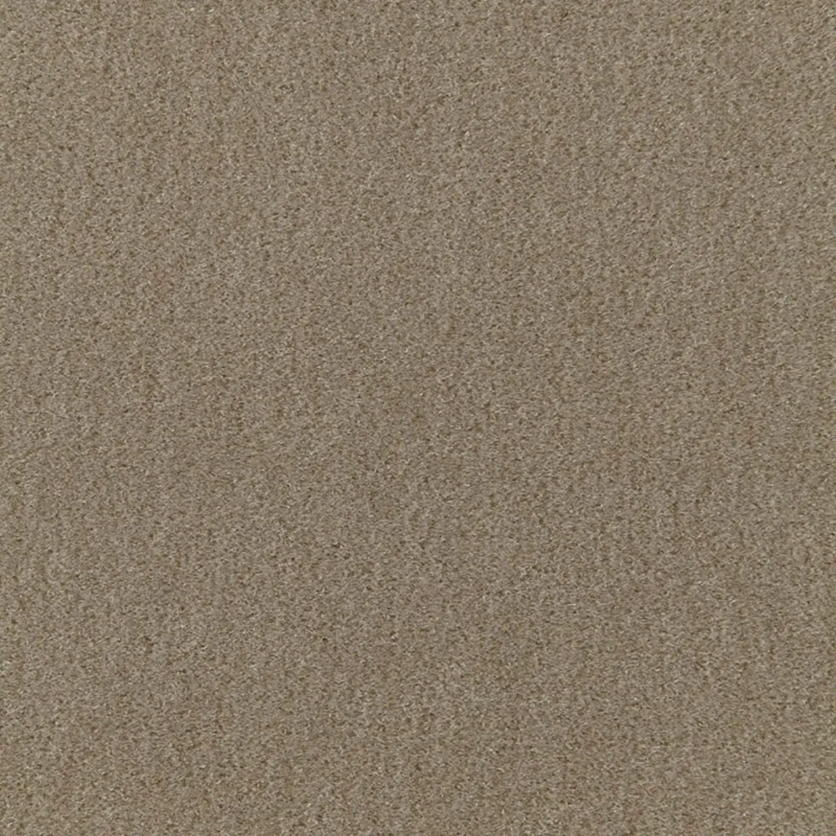 SAN CARLO MOHAIR VELVET_ KHAKI