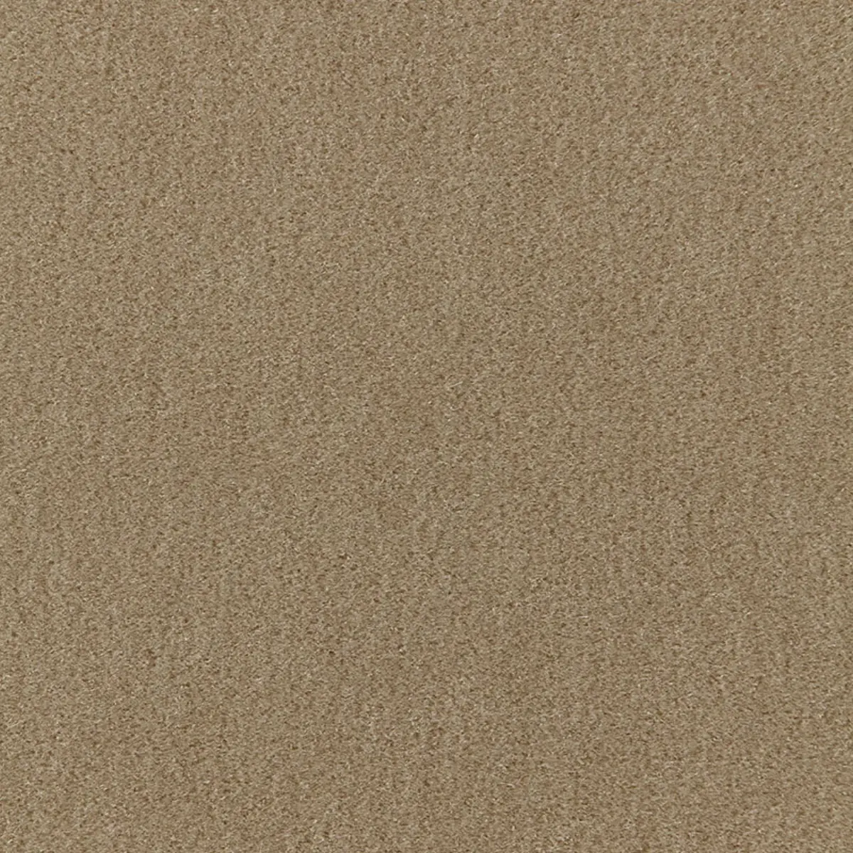 SAN CARLO MOHAIR VELVET_ SAGE