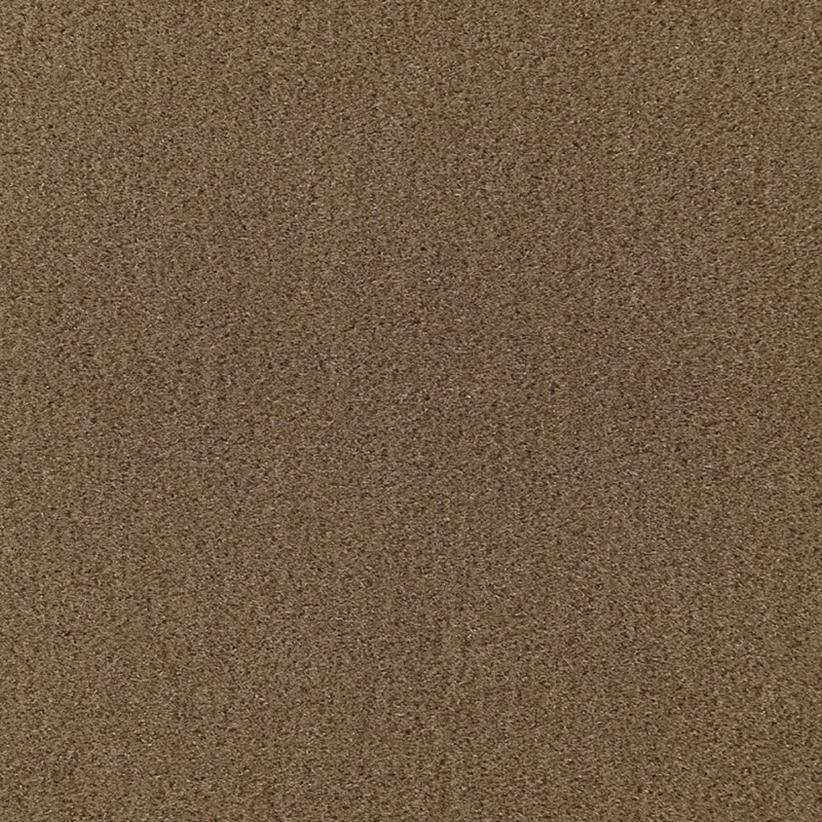 SAN CARLO MOHAIR VELVET_ TOBACCO