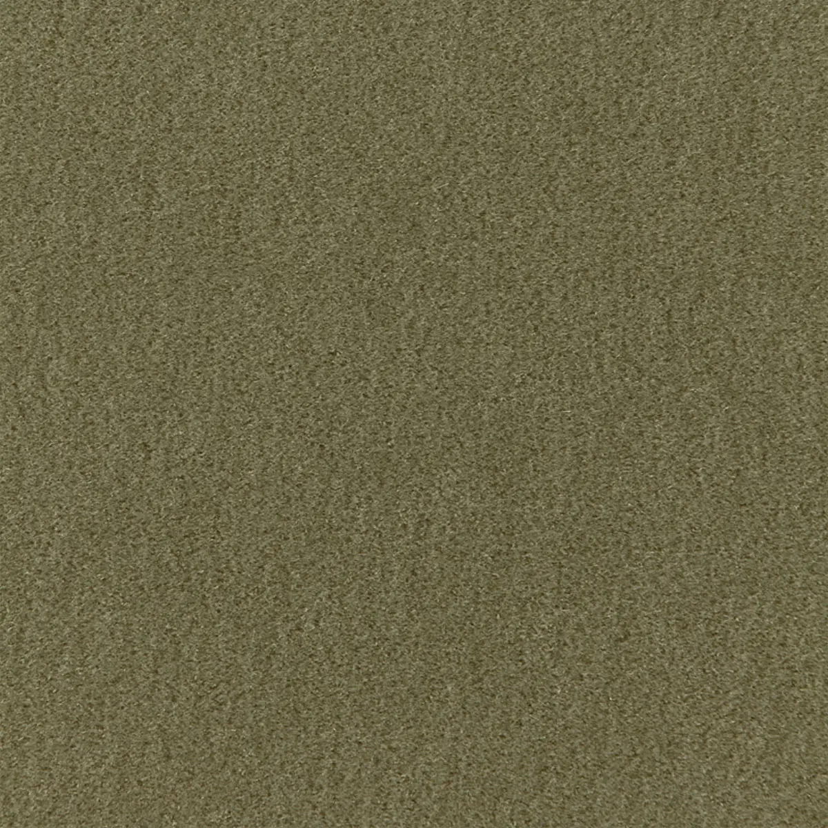 SAN CARLO MOHAIR VELVET_ MOSS