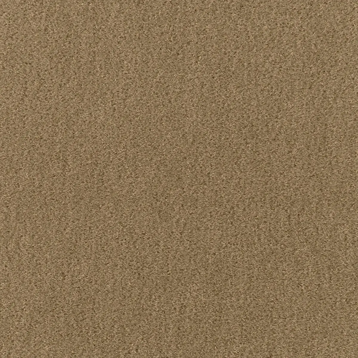 SAN CARLO MOHAIR VELVET_ HERB