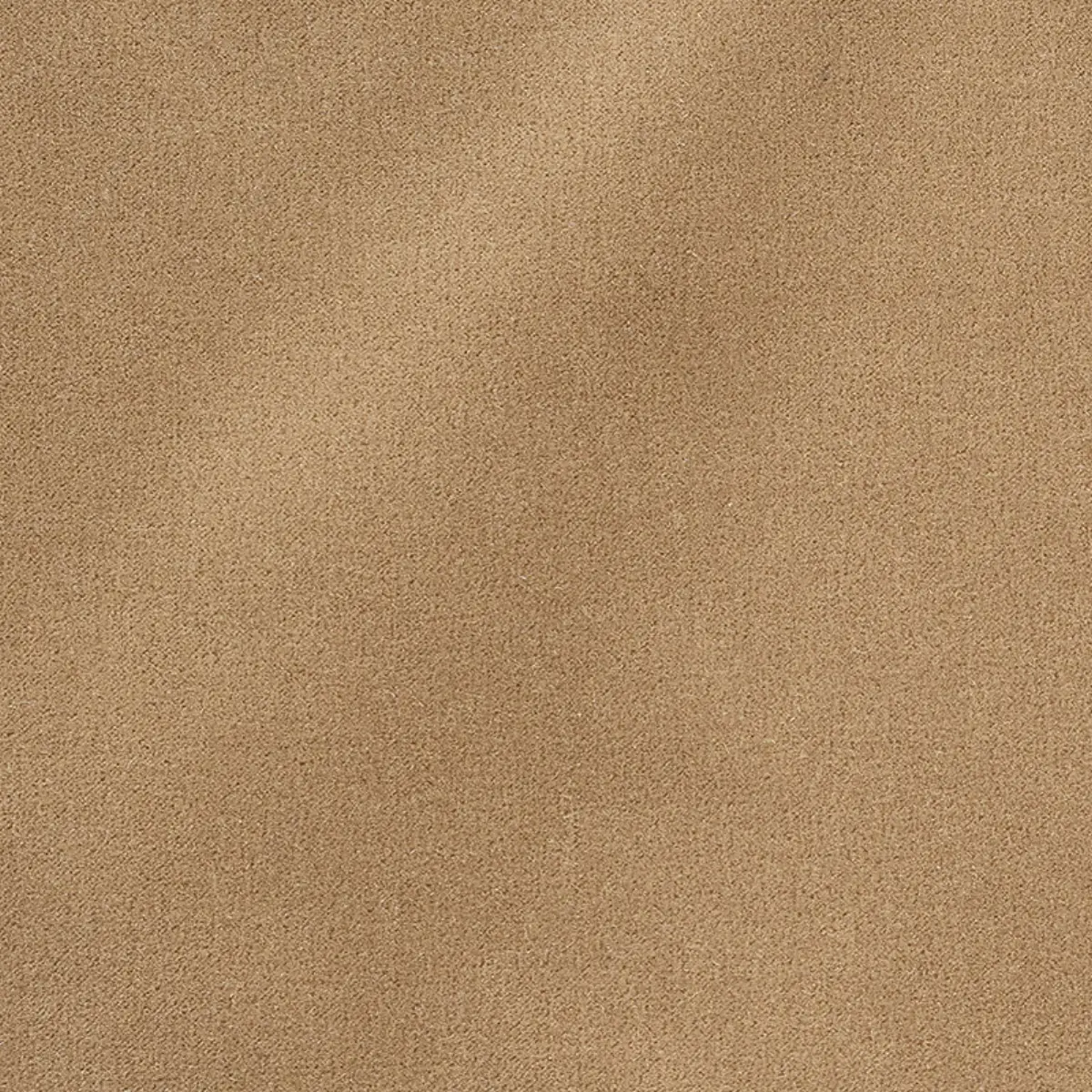 SAN CARLO MOHAIR VELVET_ DOE