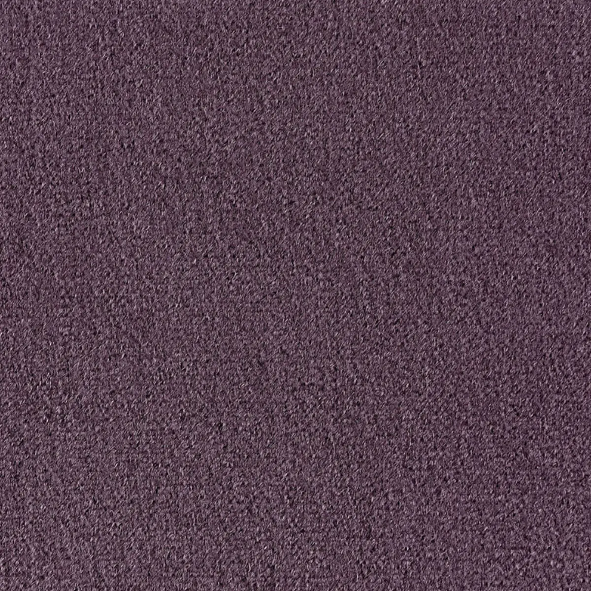 PALERMO MOHAIR VELVET_ LAVENDER