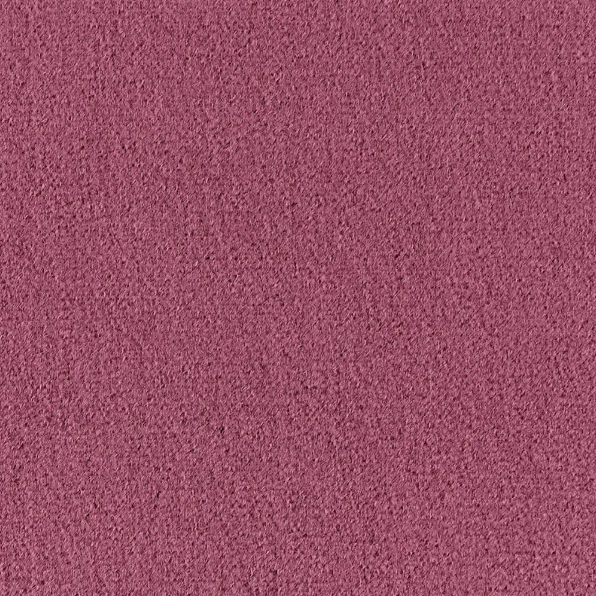 PALERMO MOHAIR VELVET_ MULBERRY