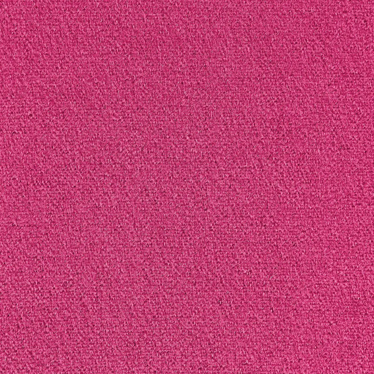 PALERMO MOHAIR VELVET_ AZALEA
