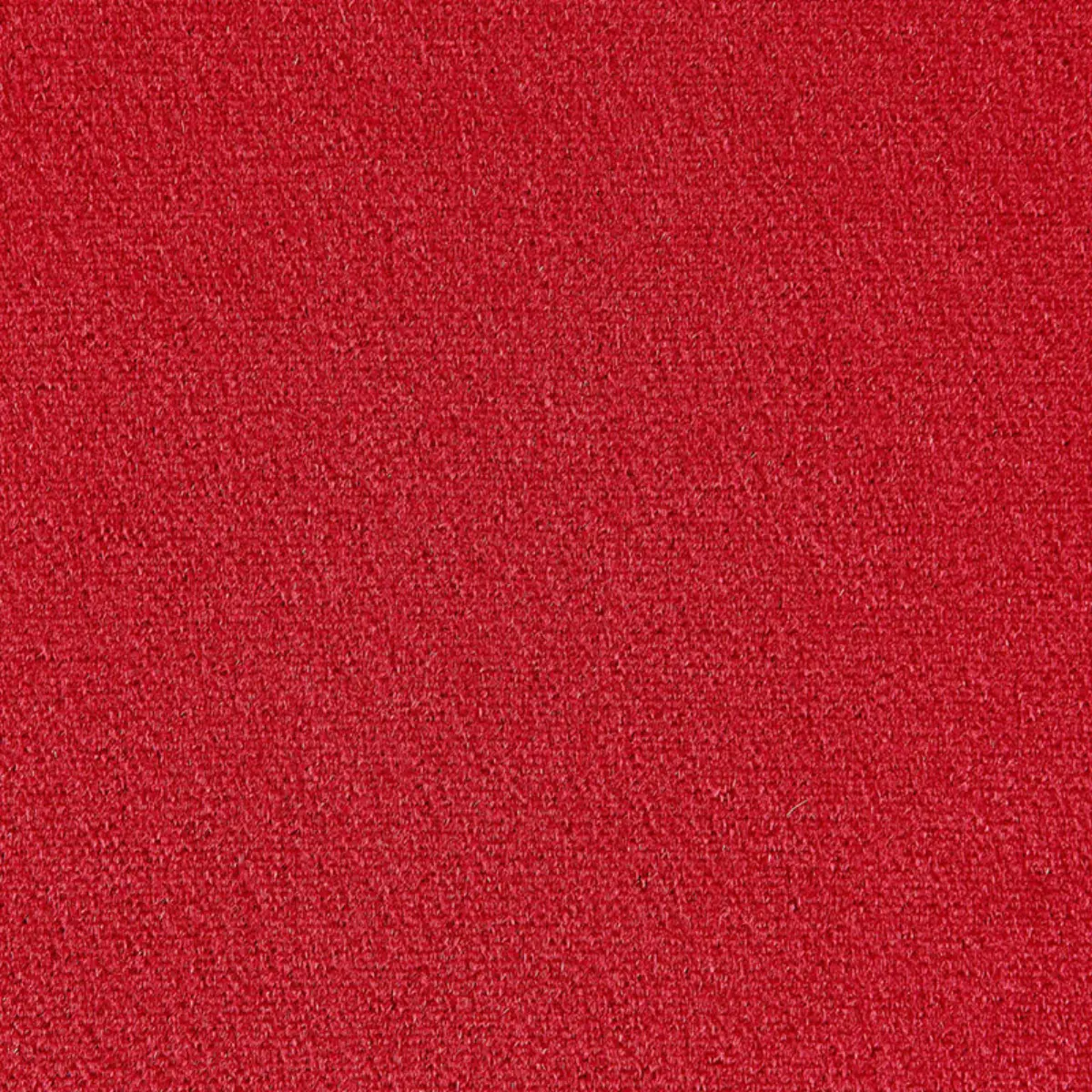 PALERMO MOHAIR VELVET_ CERISE