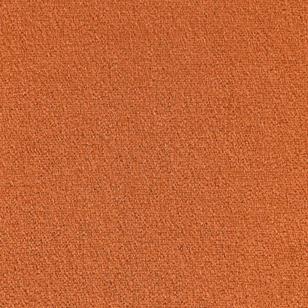 PALERMO MOHAIR VELVET_ BUTTERSCOTCH