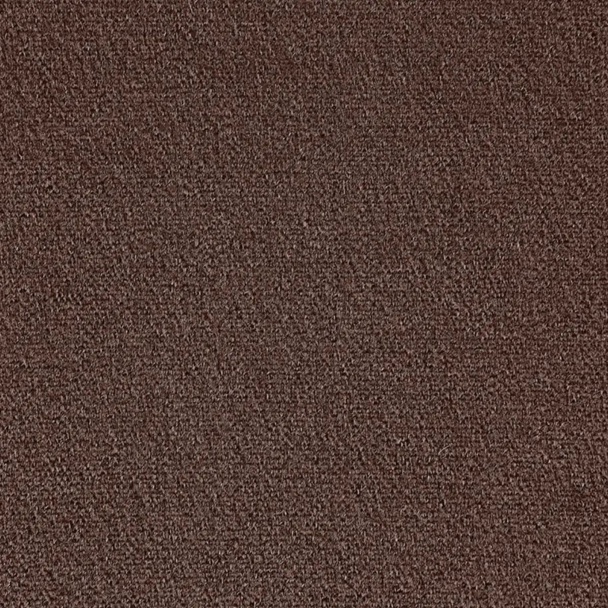 PALERMO MOHAIR VELVET_ ESPRESSO