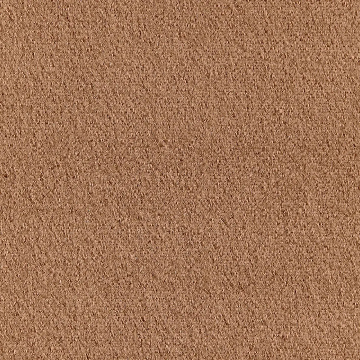 PALERMO MOHAIR VELVET_ CHANTERELLE