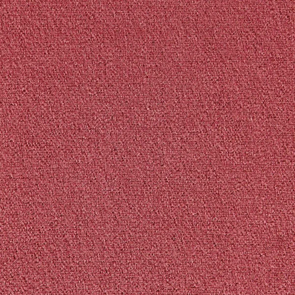 PALERMO MOHAIR VELVET_ ROSE