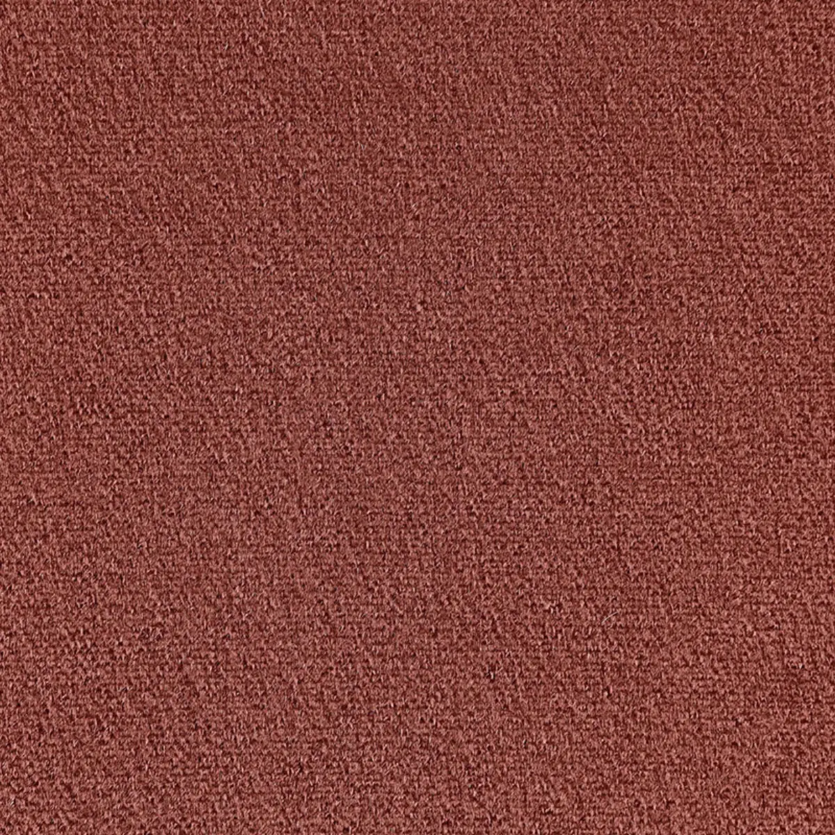 PALERMO MOHAIR VELVET_ BOIS DE ROSE