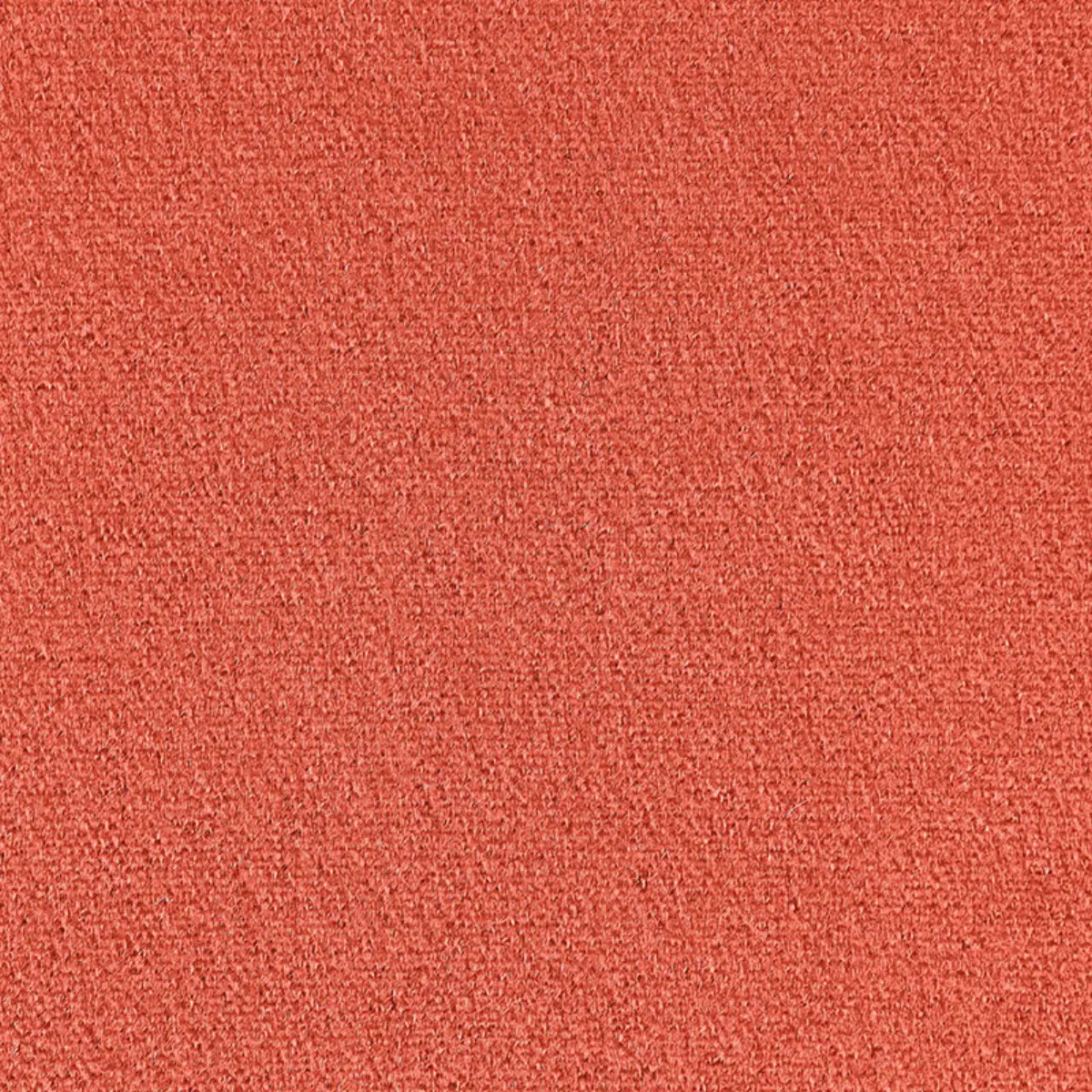 PALERMO MOHAIR VELVET_ CAMEO
