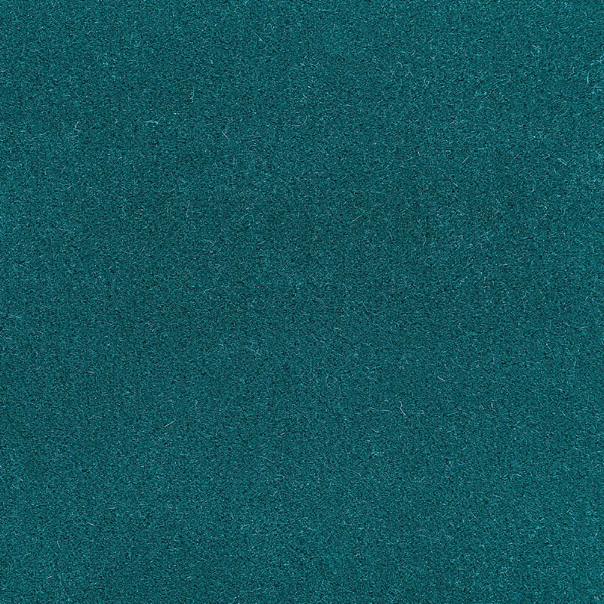 PALERMO MOHAIR VELVET_ TURQUOISE
