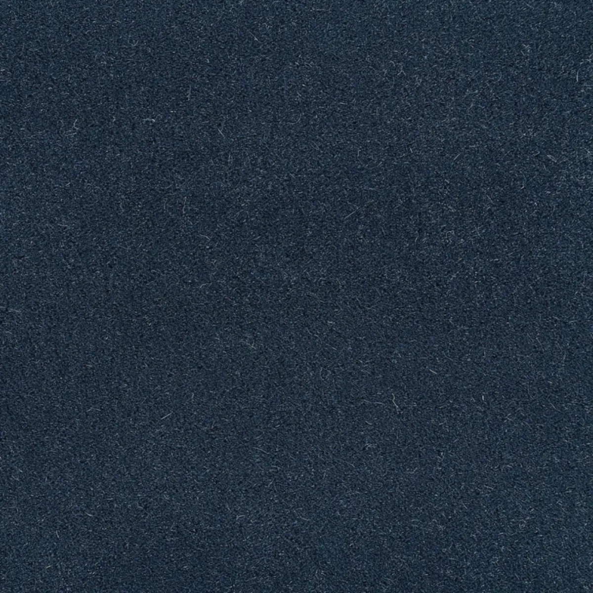 PALERMO MOHAIR VELVET_ MIDNIGHT