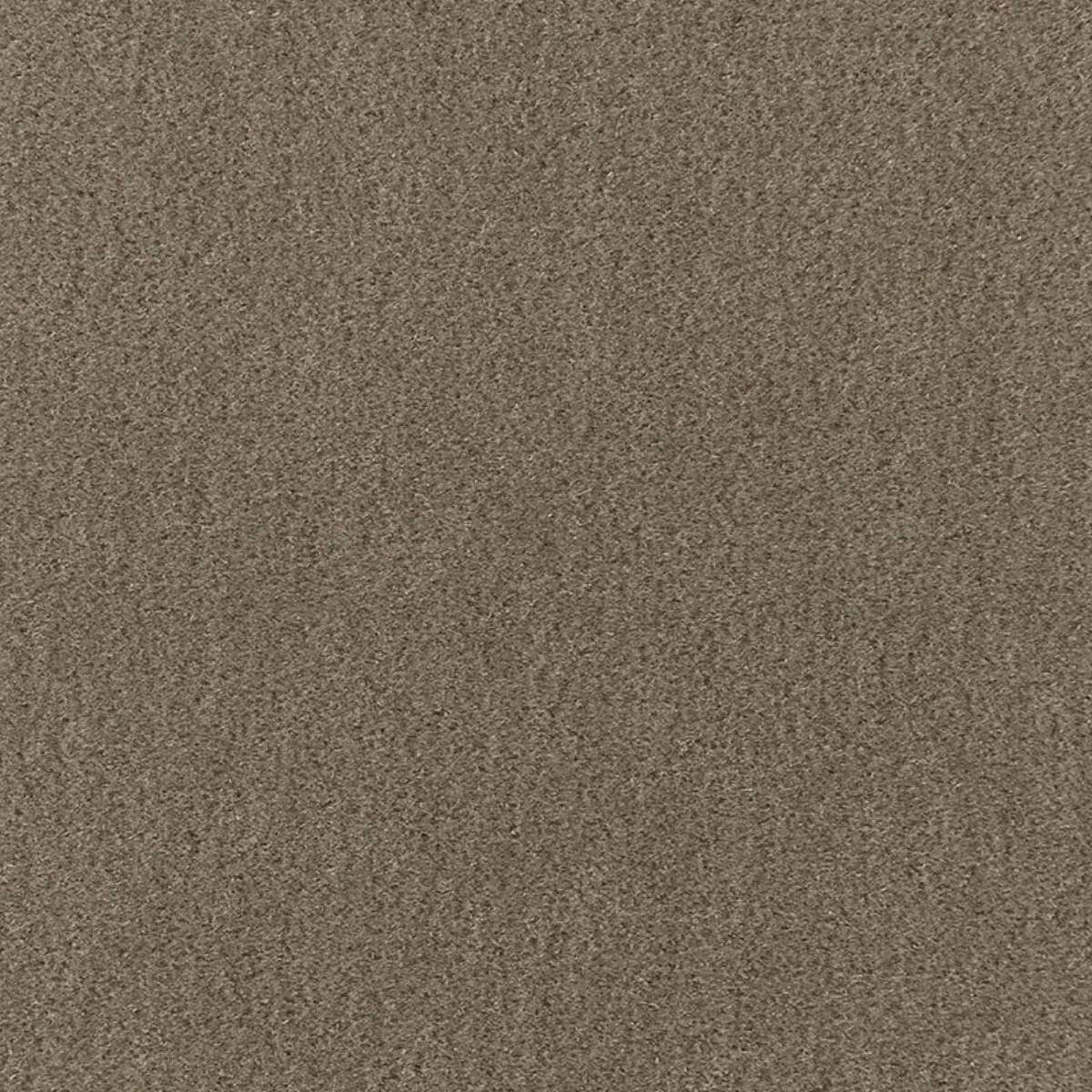 PALERMO MOHAIR VELVET_ THYME