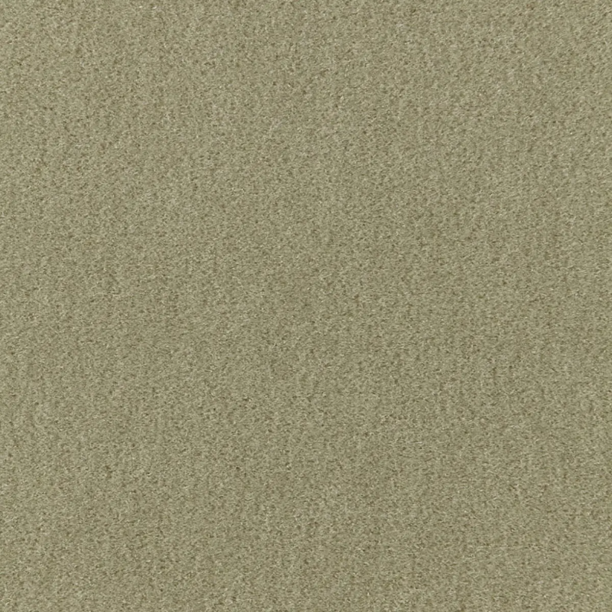 PALERMO MOHAIR VELVET_ LICHEN