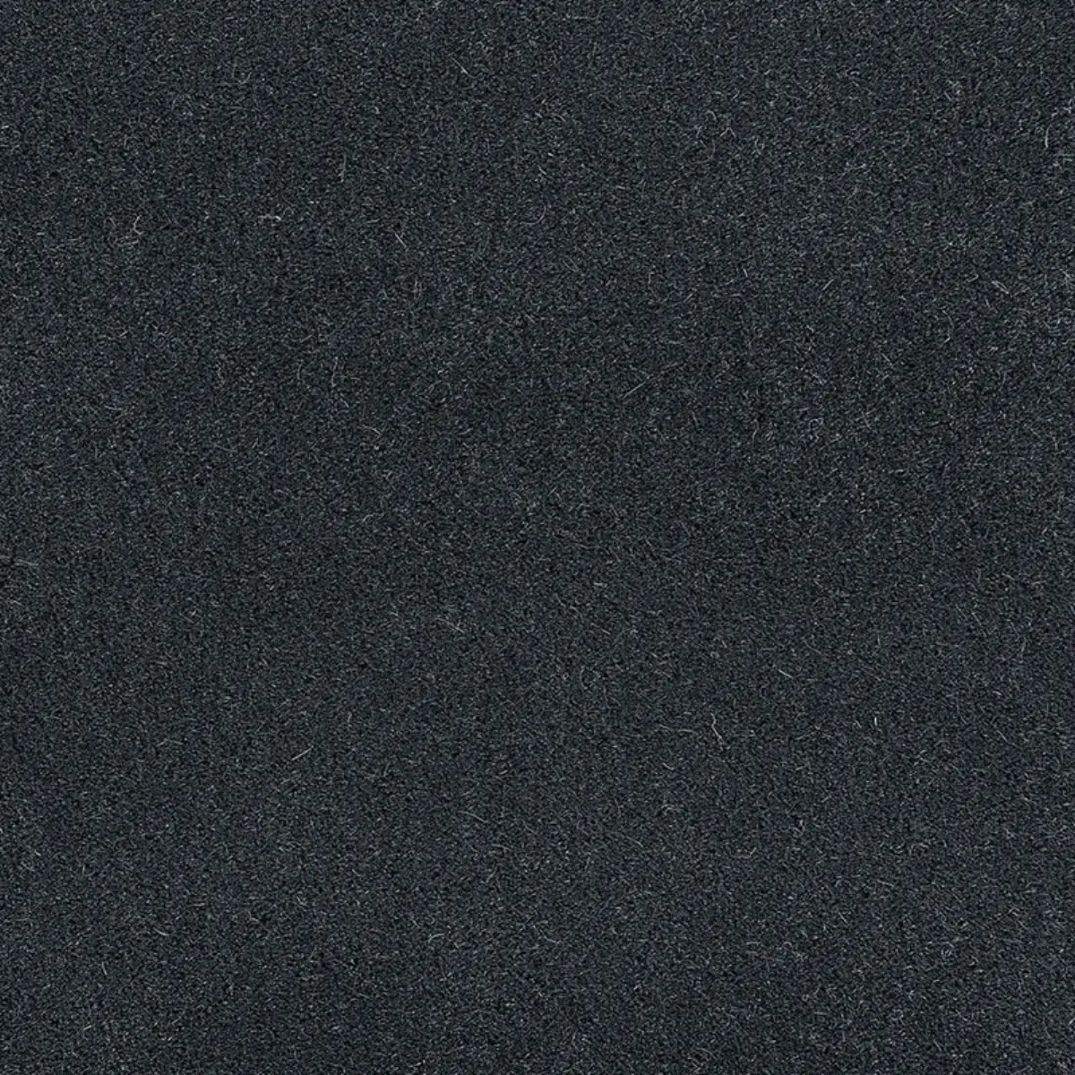 PALERMO MOHAIR VELVET_ PETROL