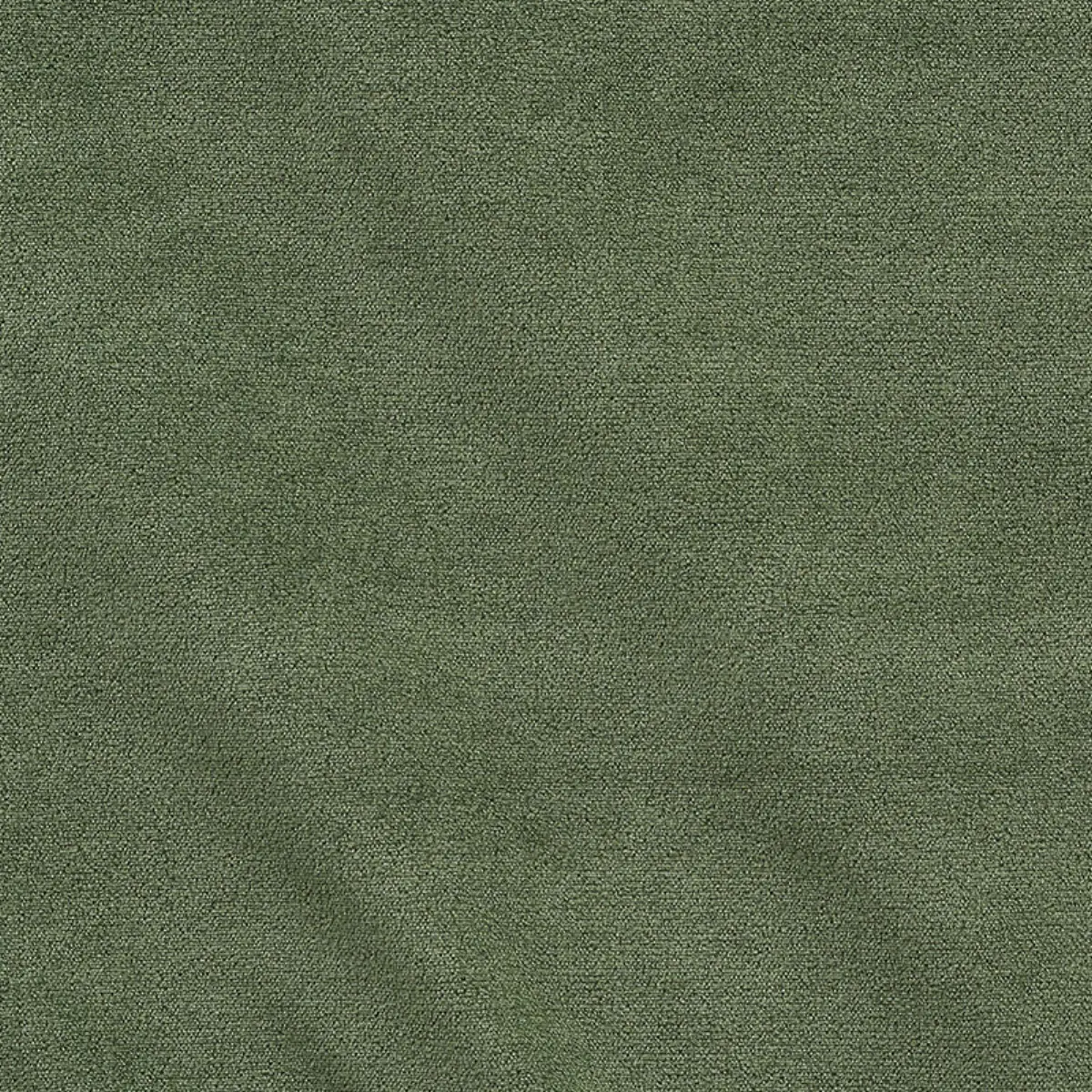 PALERMO MOHAIR VELVET_ HEDGE