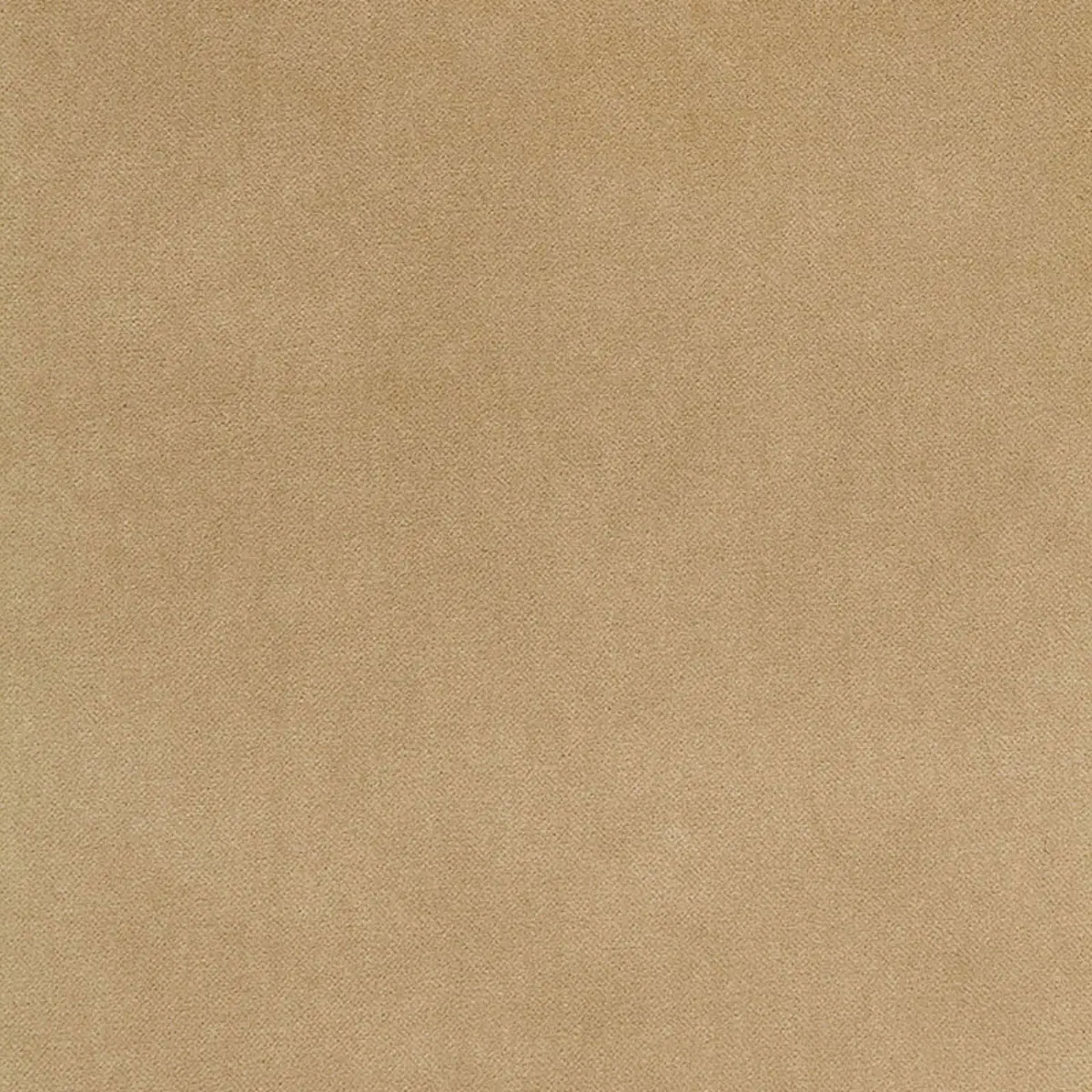 BAYEUX VELVET_ PUTTY