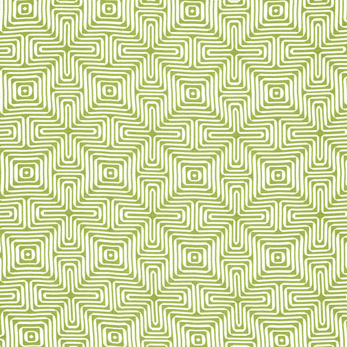 AMAZING MAZE INDOOR/OUTDOOR_ PALM