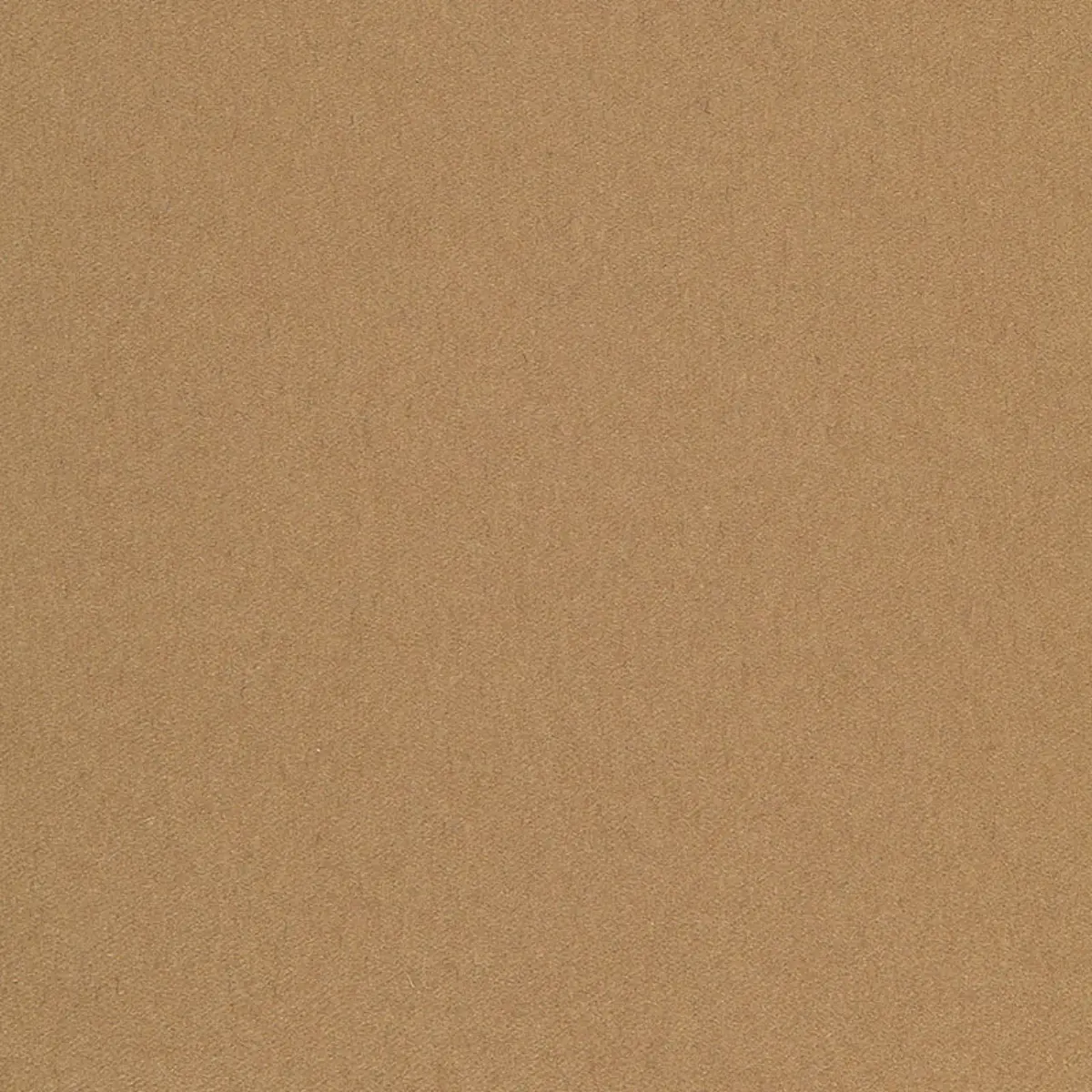 MADISON WOOL_ CAMEL