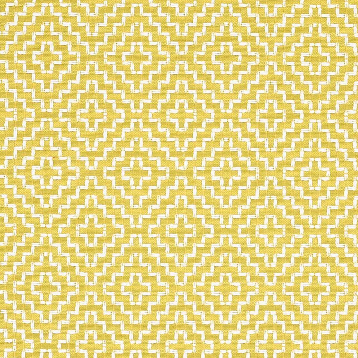 SOHO WEAVE_ CITRON