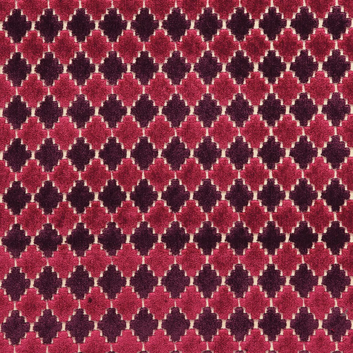 MARRAKESH VELVET_ BLACK CHERRY