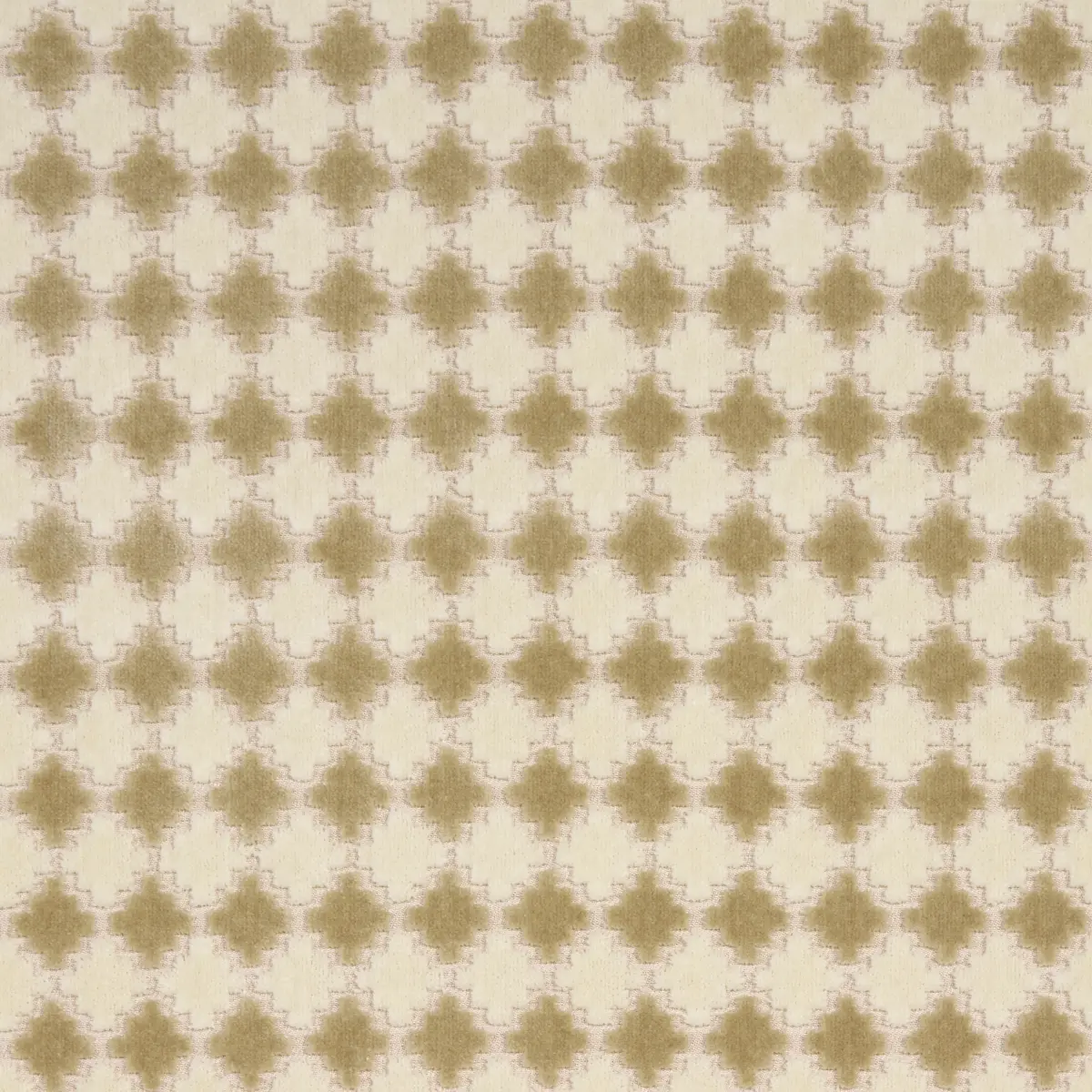 MARRAKESH VELVET_ CHAMPAGNE